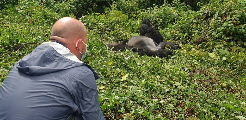 3 Days DR. Congo Mountain Gorilla Trekking in Virunga National park safari